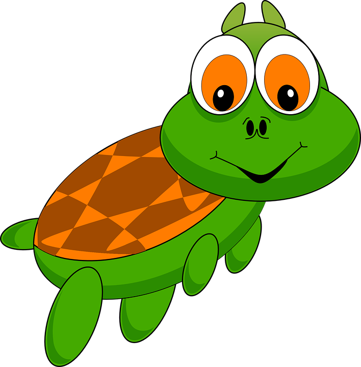 708x720 Free Photo Cartoon Turtle Zoo Comic Tortoise Funny Animal
