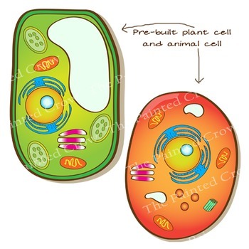 350x350 Cell Amp Plant Cell Clip Art
