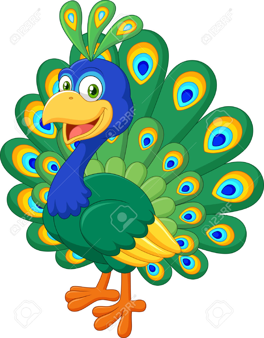1013x1300 Animal Clipart Peacock