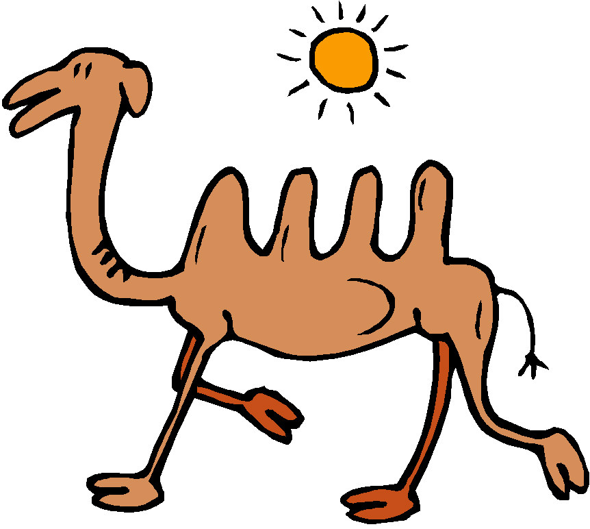 862x772 Camels Clipart Animated Gif