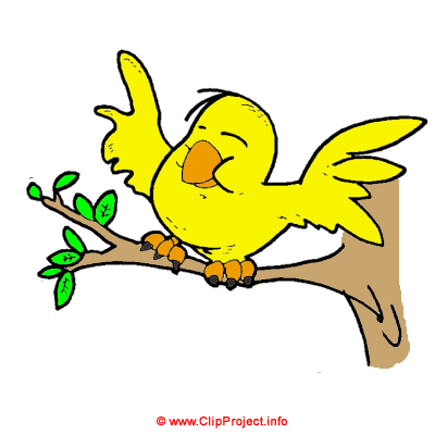 400x400 Bird Clipart Picture