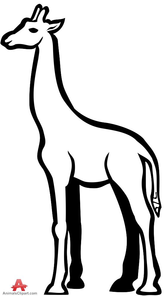 559x999 Animals Clipart Of Safari Clipart With The Keywords Safari