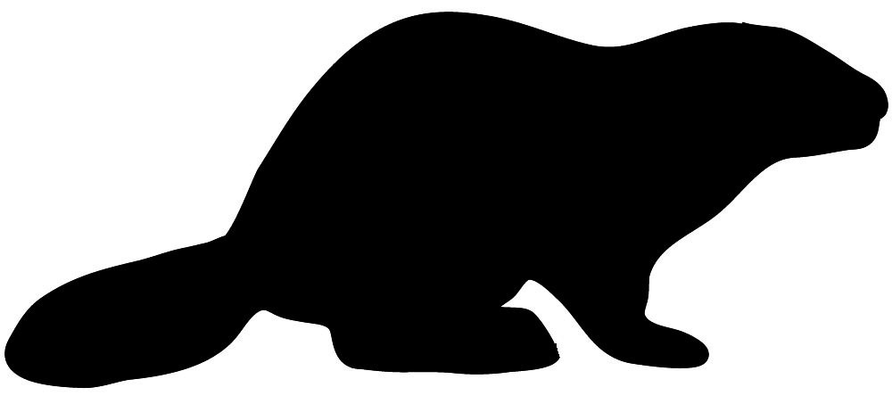 1000x453 Beaver Clipart Silhouette