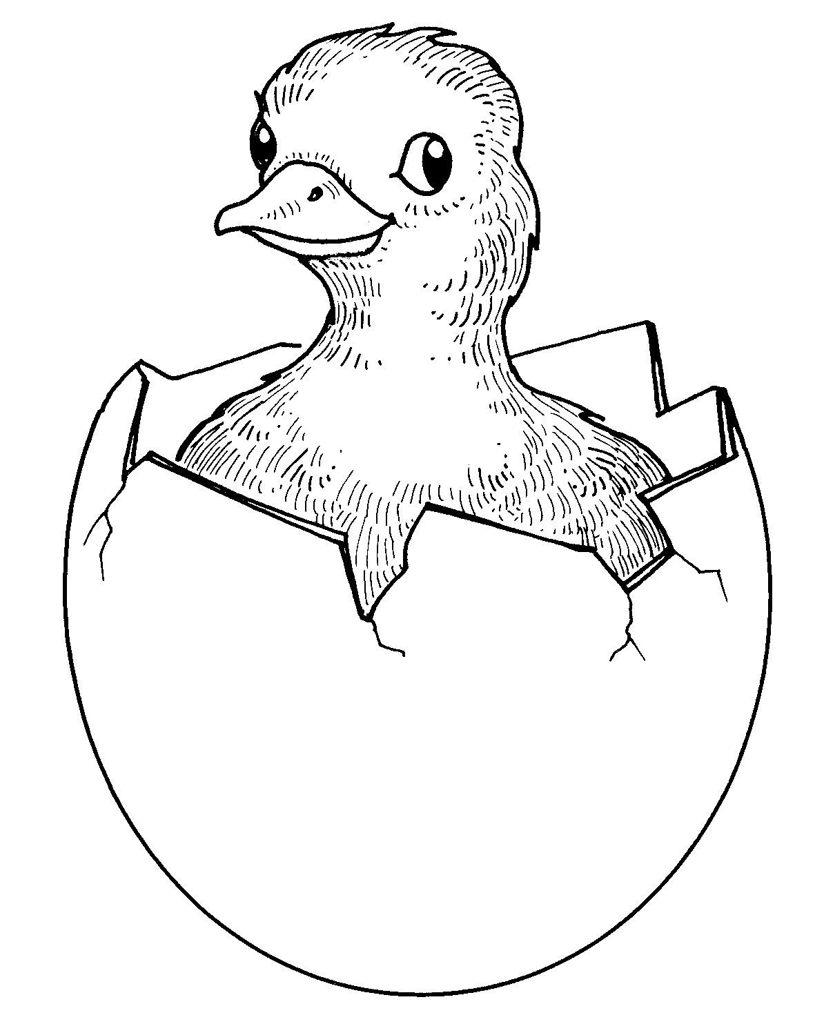 1194x1484 Baby Farm Animals Clipart Black And White Letters Example