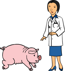 273x299 Doctor And Pig Clip Art