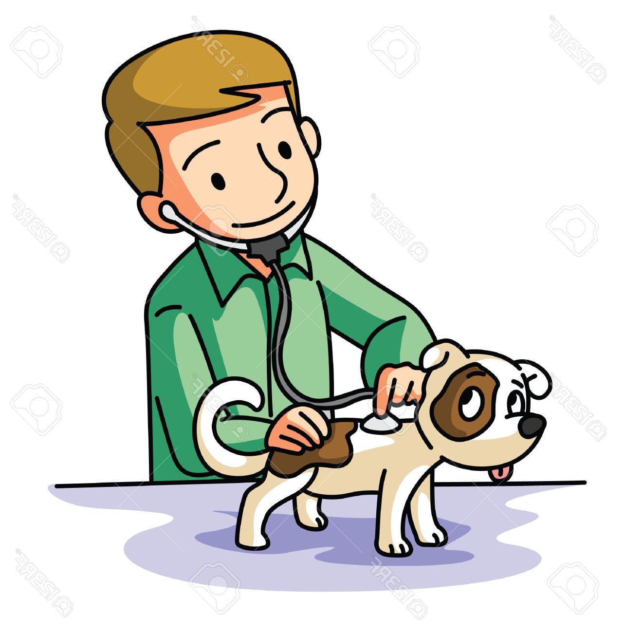 1284x1300 Top 10 Pet Doctor Stock Vector Vet Veterinary Veterinarian Images