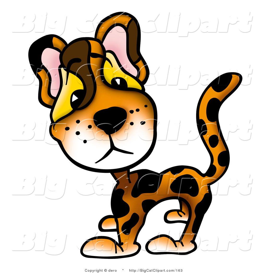 1024x1044 Big Cat Clipart Big Eye