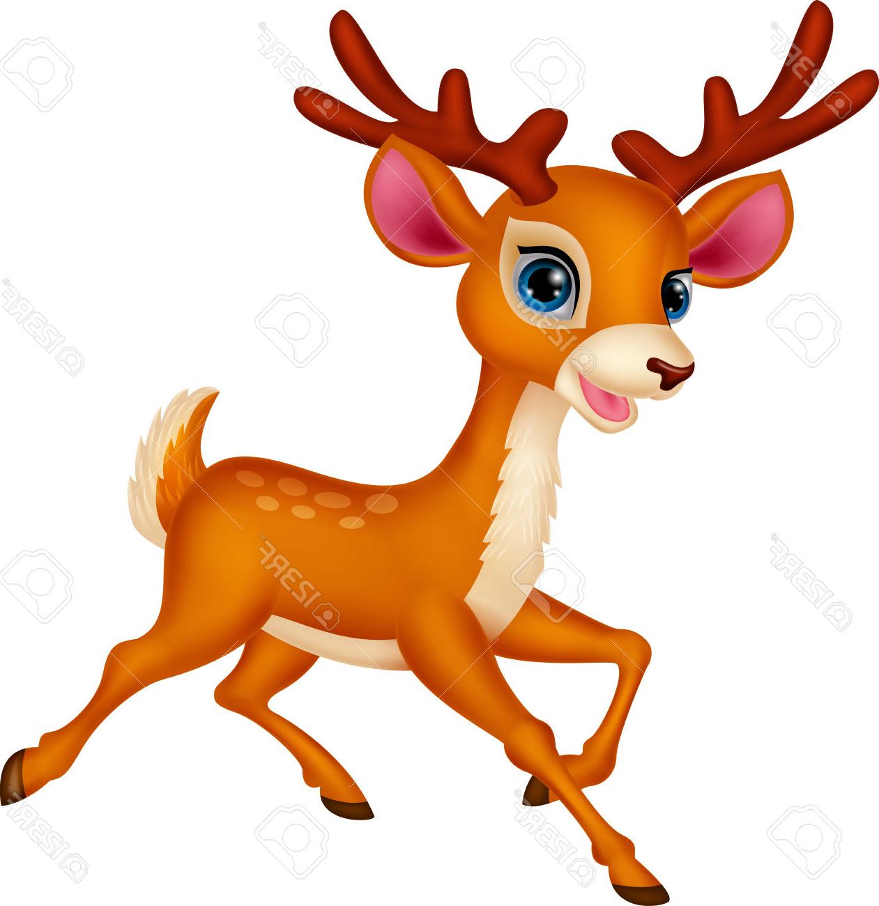 1261x1300 Best Free Baby Deer Eyes Vector Images Free Vector Art, Images