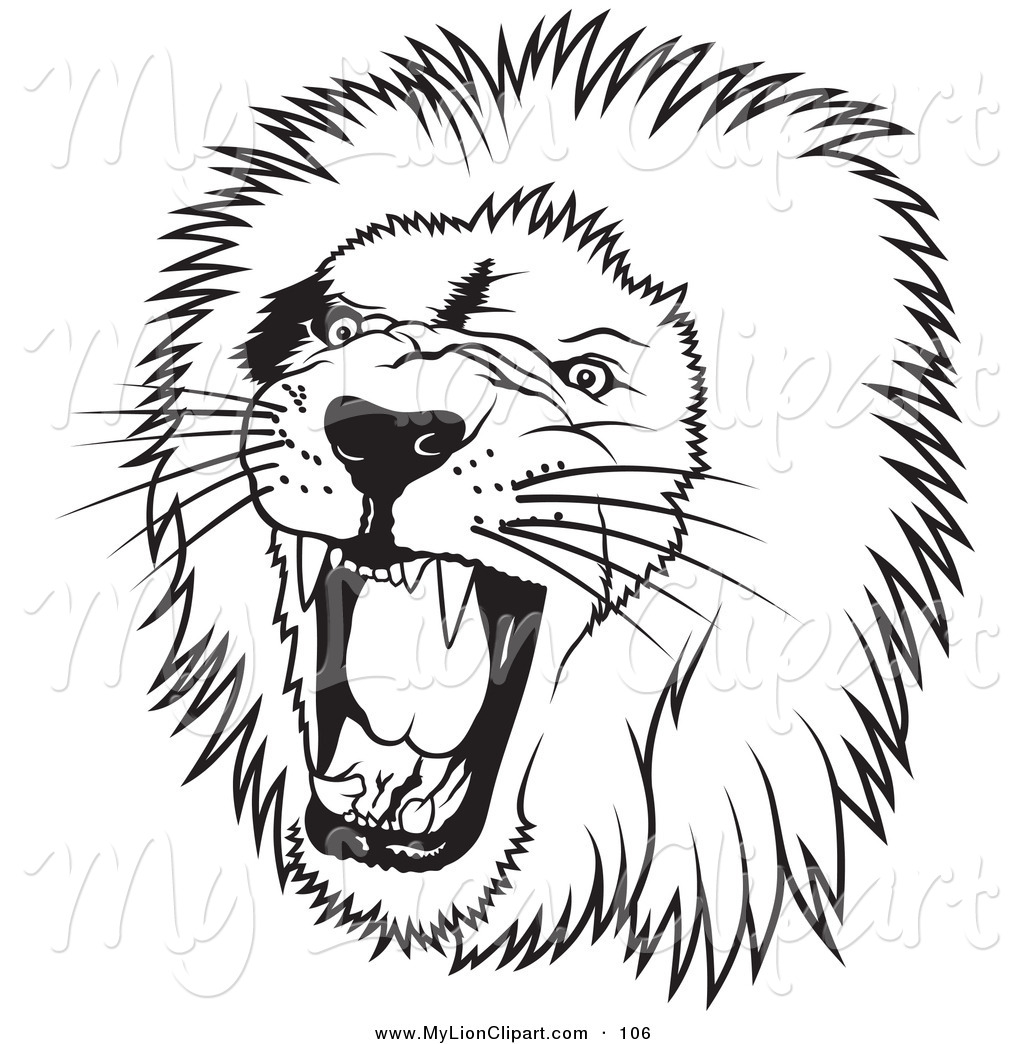 1024x1044 White Lion Clipart Lion Face