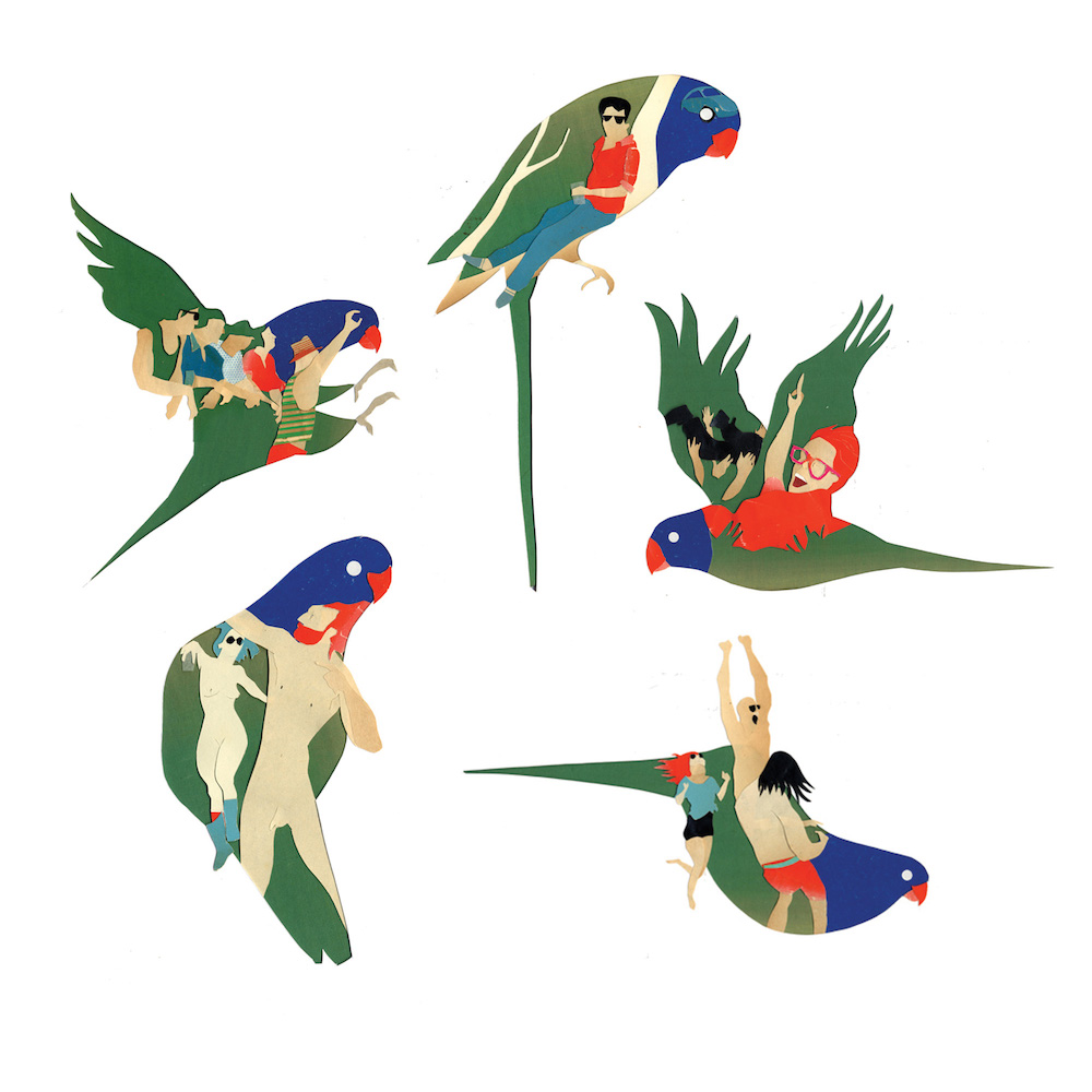 1000x1000 Animal Art Meredith Music Festival 2017