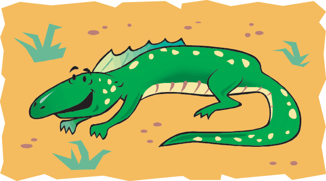 647x360 Desert Habitat Games (Science Trek Idaho Public Television)