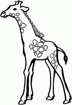 236x342 Simple Giraffe Outline Print Out And Color Pictures Of A Variety