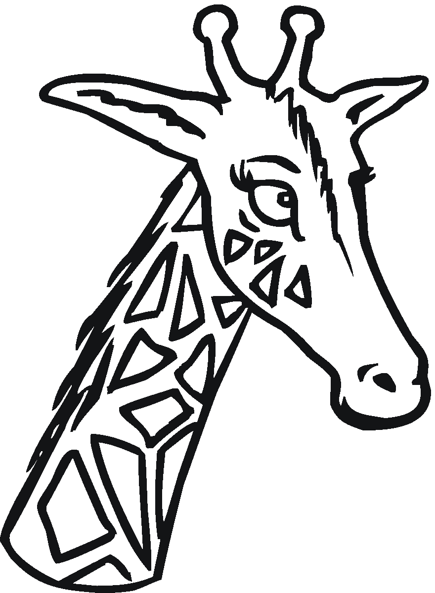 880x1200 Animal Head Outline Giraff