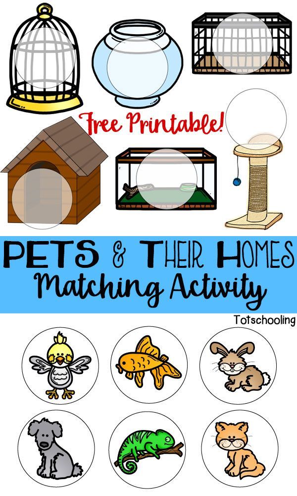 600x1000 Pets Amp Their Homes Matching Activity Language Development, Free