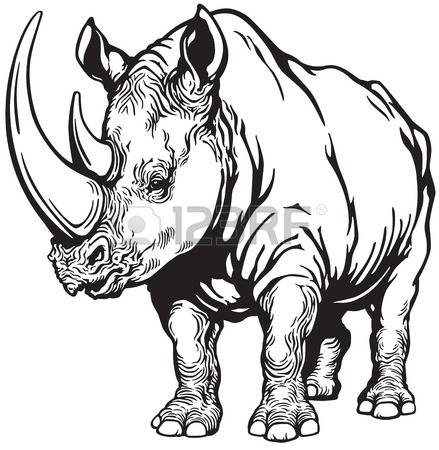 439x450 Top 81 Rhinoceros Clip Art