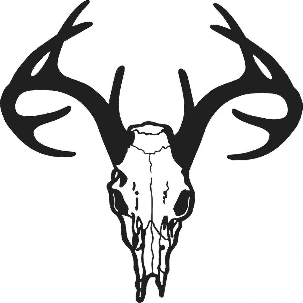 1024x1024 Best 15 Whitetail Deer Clip Art Cbgokgcg Cdr