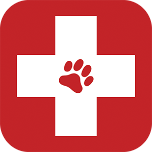 300x300 Building Clipart Animal Hospital