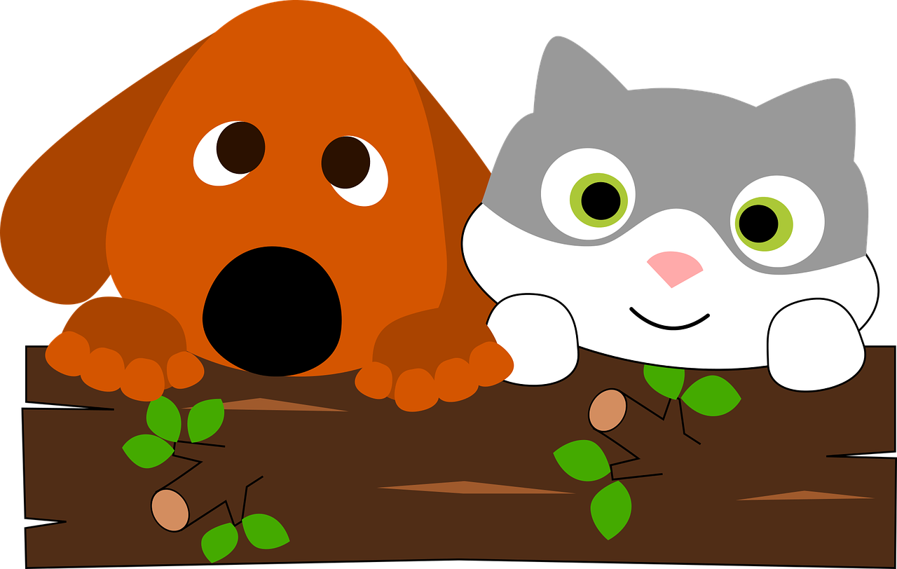 1280x812 Clondalkin Animal Clinic