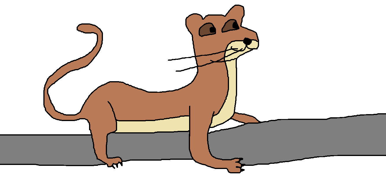 1335x630 Fossa Animal Jam Fanon Wiki Fandom Powered By Wikia