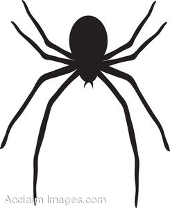 245x300 Clip Art Picture Of A Black Spider With Long Legs