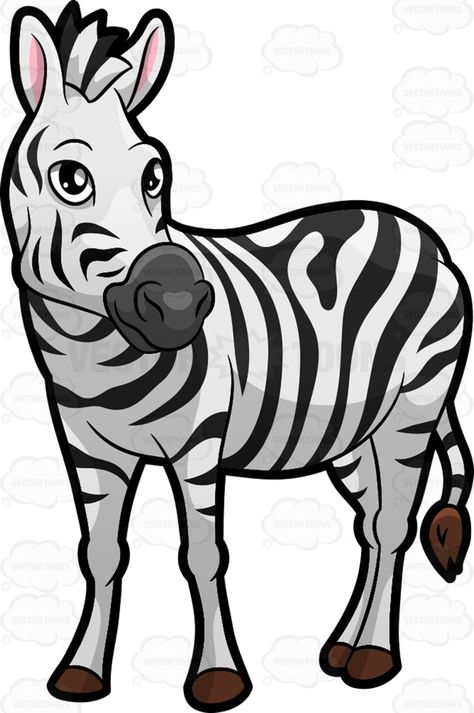 474x713 A Zebra Looking Off To The Side