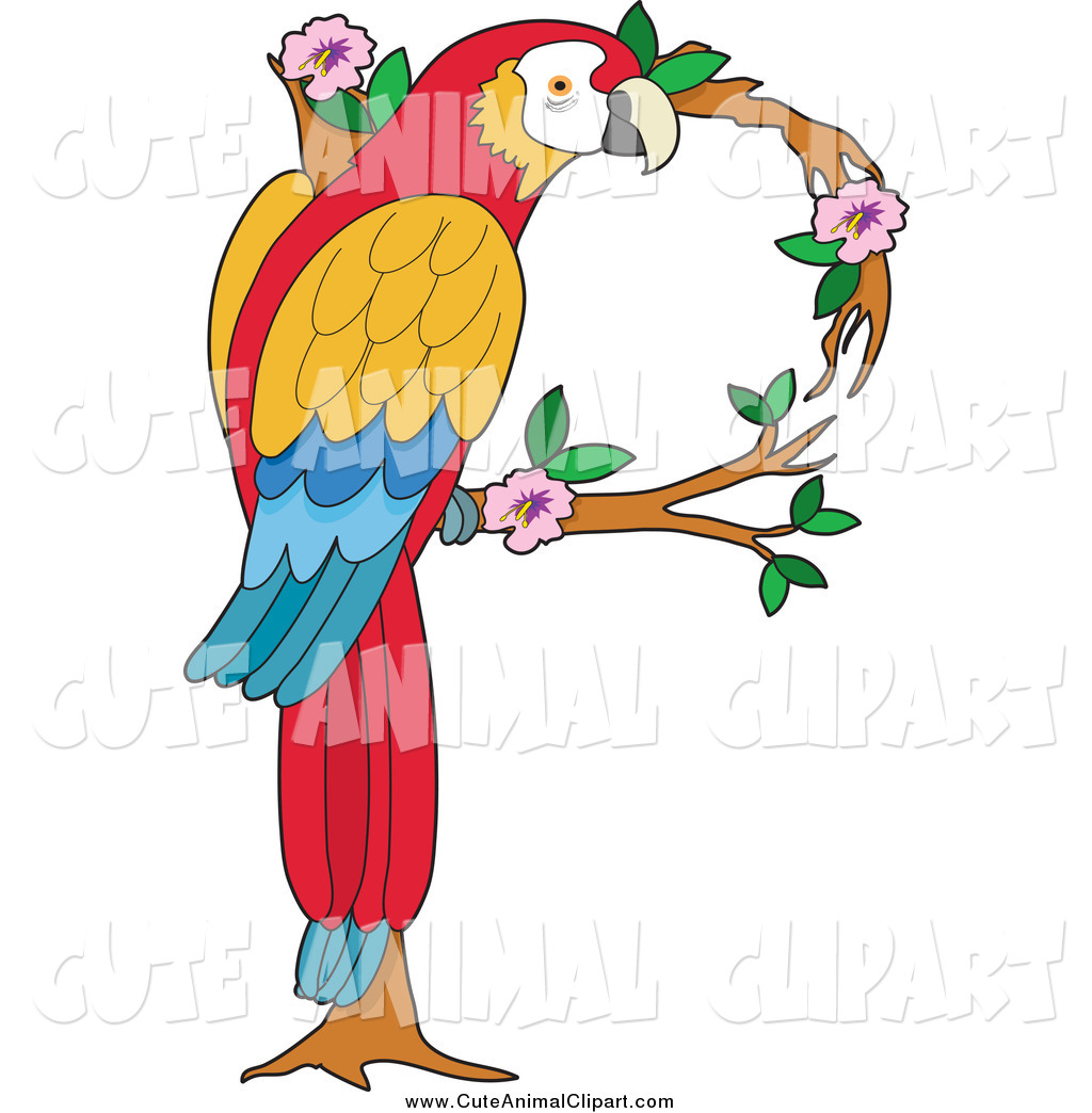 1024x1044 Vector Clip Art Of A Scarlet Macaw Forming A Letter P By Maria