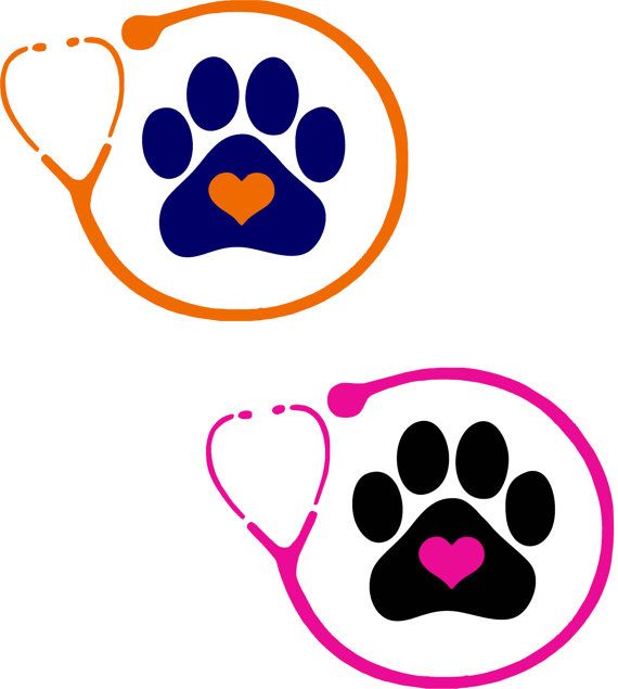 570x635 Beagle Clipart Veterinary Assistant