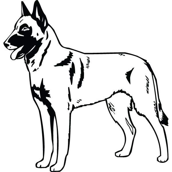 600x600 Belgian Malinois Dog Breed Pet Lover Art For Custom Gifts