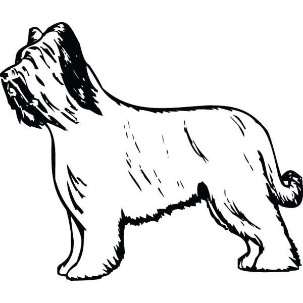 600x600 Briard Dog Breed Pet Lover Art For Custom Engraved Gifts