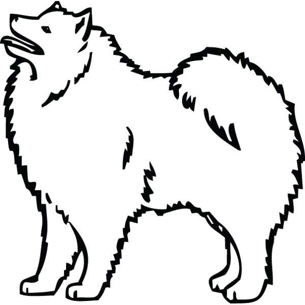 600x600 Samoyed Dog Breed Graphic Art For Custom Pet Lovers Gifts