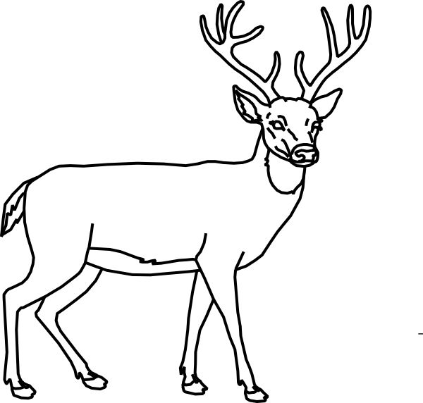 600x572 The Best Deer Outline Ideas Deer Head Stencil