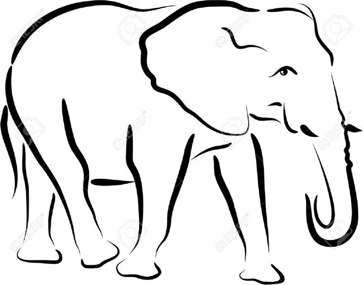 736x579 51 Best Elephant And Camel Images Animal Drawings