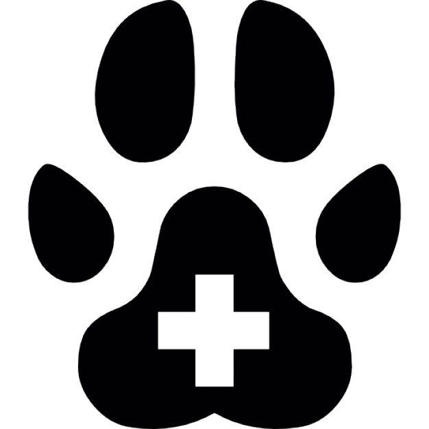 626x626 Animal Paw With Plus Symbol Icons Free Download