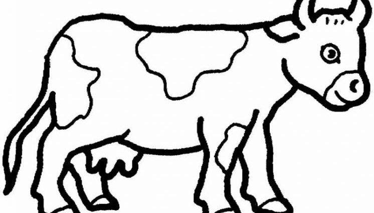 746x425 Pictures Of Animals To Print For Free Pictures Of Animals To Print