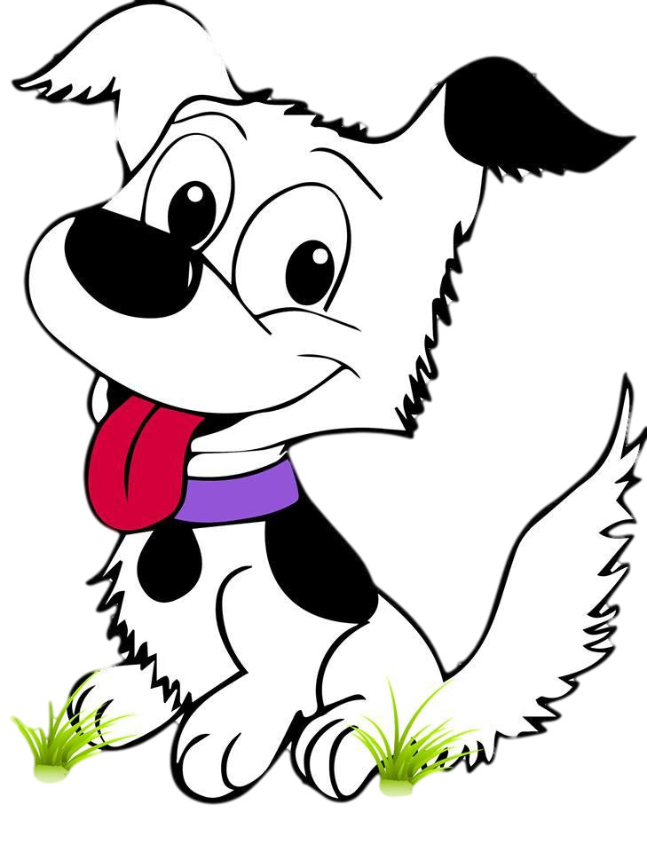 729x960 Pets For Adoption