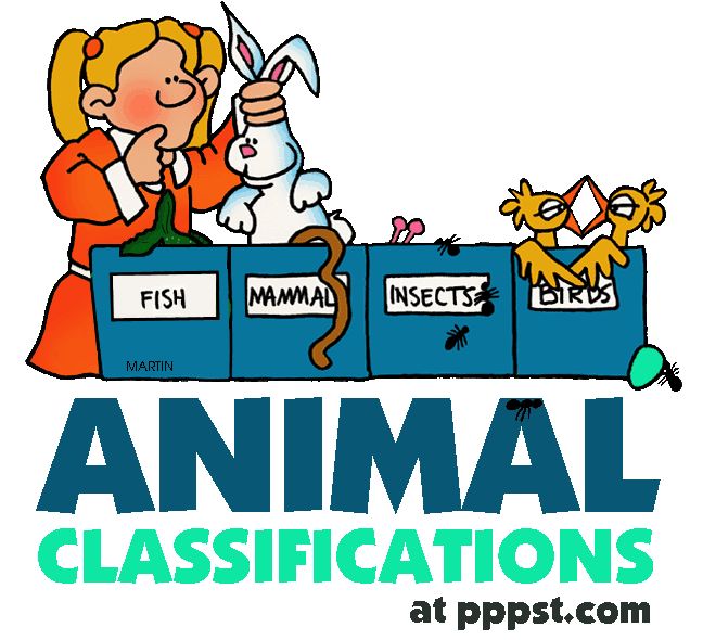 648x590 Animal Clipart For Powerpoint