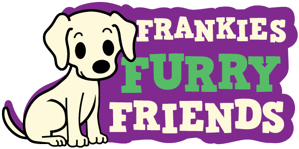 600x300 Cincinnati Area Animal Shelters And Rescue Groups