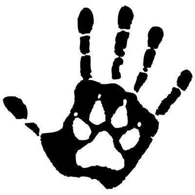 400x400 Pets For Adoption