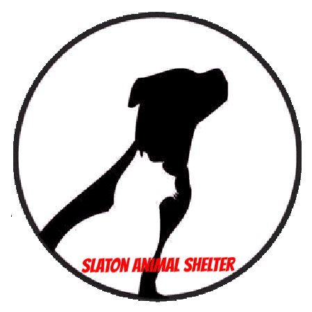 449x449 Slaton Animal Shelter Adoptable Pets