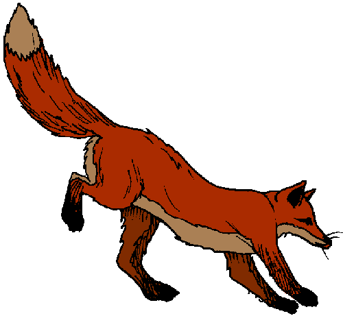 500x464 Red Fox Clipart