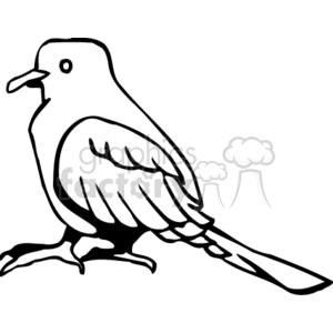 300x300 Royalty Free Black And White Long Tail Bird 130237 Vector Clip Art