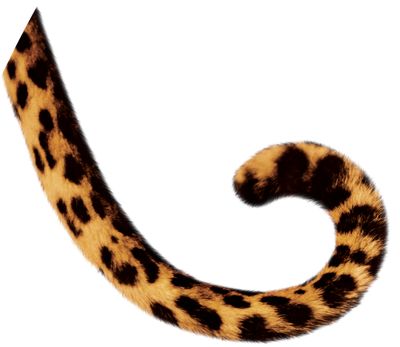 400x347 Tail Clipart Animal Tail