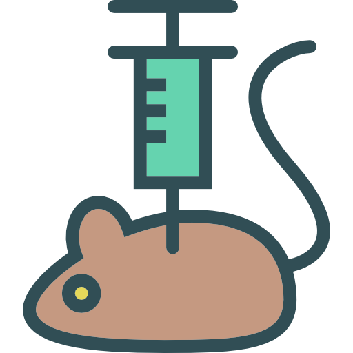 512x512 Animal Testing