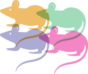 300x251 Scientific Progress Through Animal Testing The Hawk Newspaper