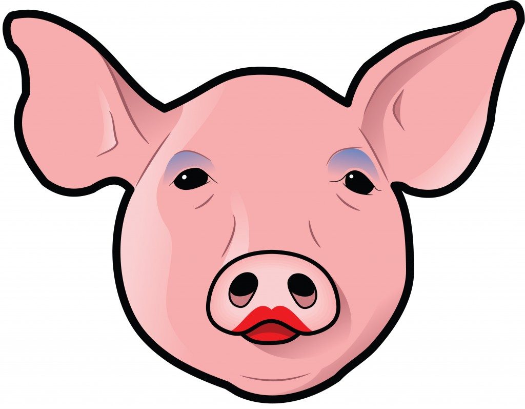 1024x797 Top 10 Reasons Why Animal Testing Is Necessary Top 10 Lists