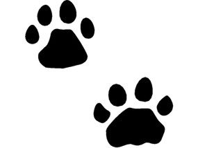 285x214 Animal Prints Clip Art Download