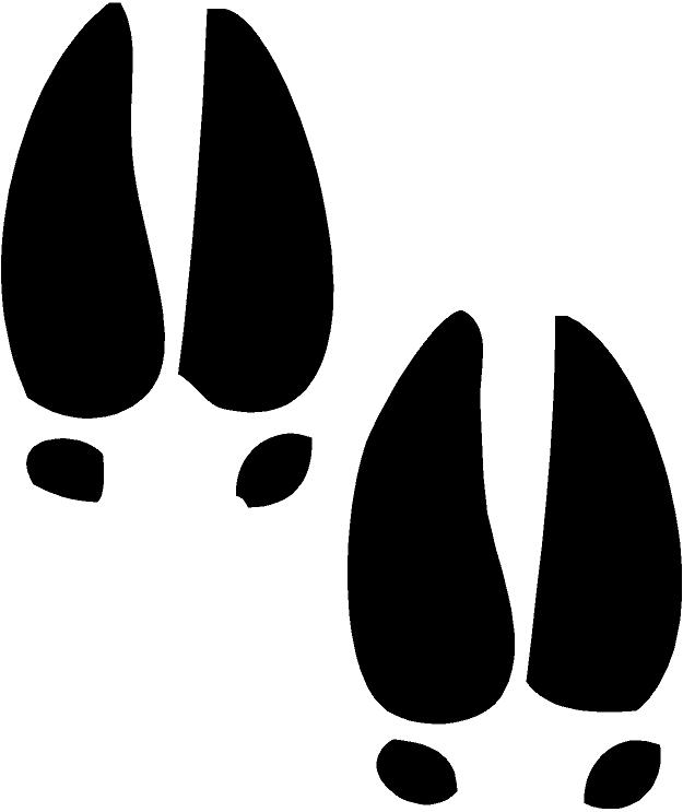 625x743 Moose Clipart Footprint