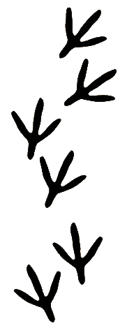 182x470 Animal Tracks Clipart
