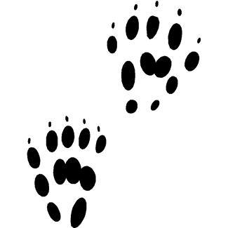 325x325 Clipart Animal Tracks