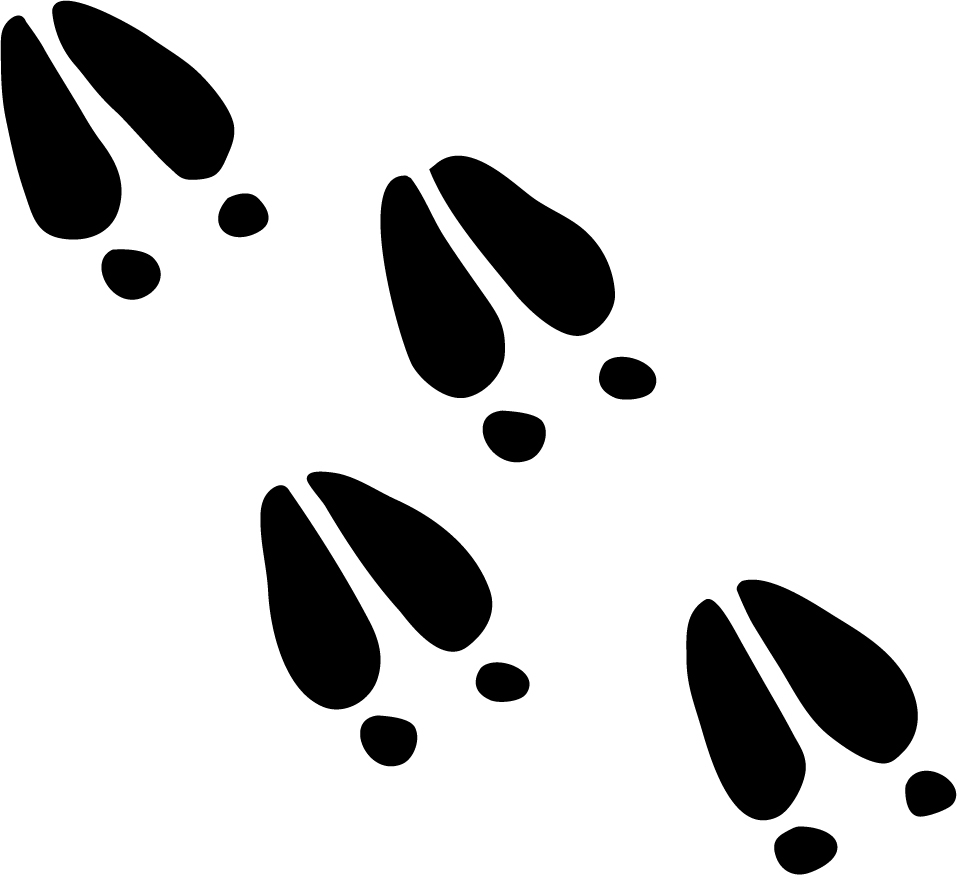 957x875 Deer Clipart Deer Track